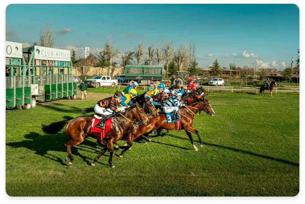 Salida de una carrera en pasto junto a los cajones de partida del Club Hípico