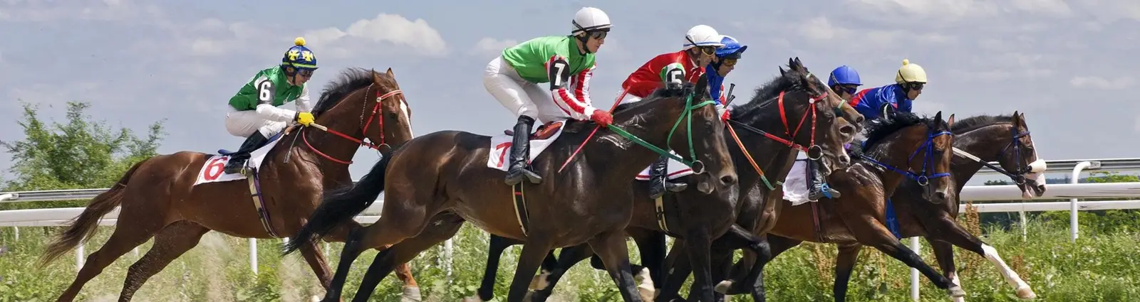 Pelotón de ejemplares corriendo junto a la baranda de una pista de pasto