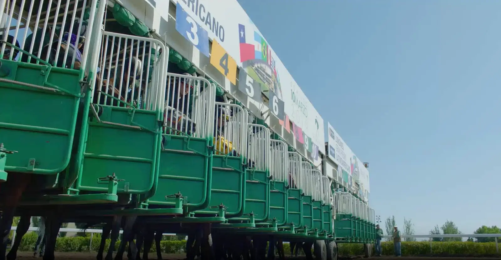 Cajones de partida verdes con las banderillas numeradas de los ejemplares